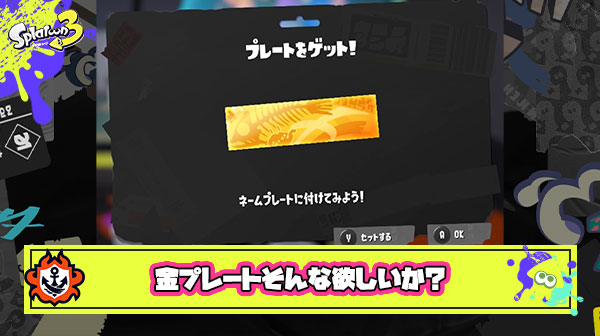 金プレート欲しくてガチャ回しまくってるイカ多いけどあれそこまでして欲しいか？