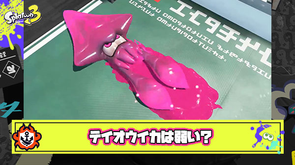 テイオウイカは弱いという風潮