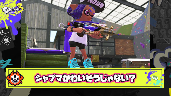 【疑問】なんでちょっと暴れただけのシャプマって完全に消されちまったんだろうな